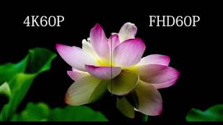 TEST 4K60P vs FHD60P [upl. by Etteiluj]