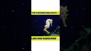 Top 5 interesting fact 😱 amazingfactsfacts factvhindi facts factv interestingfacts funfacts [upl. by Castra795]