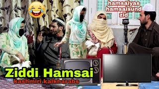 Ziddi Hasdi Hamsai  kashmiri kalkharabs [upl. by Dedie]