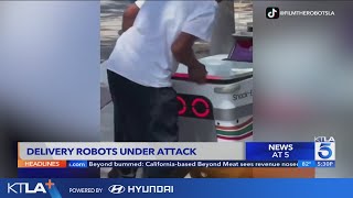 Food delivery robots under attack from vandals thieves [upl. by Imray]