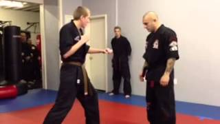 The First GANGNAM STYLE MARTIAL ARTS Right This Minute ToshO Blog and Facebook So Funny [upl. by Artap452]