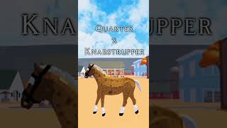 Horse Valley Knabstrupper Horse Mix Breeds horsevalley roblox horsey equestrian edit [upl. by Prud406]