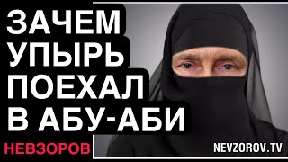 Невзоров Важные новости Убийство Кивы День ВСУ Путин в АбуДаби Тайлор Свифт [upl. by Holmen754]