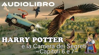 Harry Potter e la camera dei segreti  Lettura e Commento Cap 67  Audiolibro [upl. by Ahsienroc]