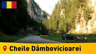 🔴 Romania • Cheile Dâmbovicioarei • Dâmbovicioarei Gorge 🇷🇴 • Relaxing Drive【1080p Full HD】 [upl. by Kemeny551]