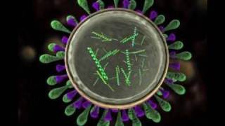 Science Today Virus Mutation  California Academy of Sciences [upl. by Ymereg]