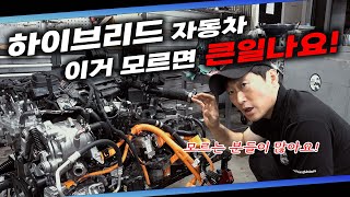 quot필독quot 연비 좋은 하이브리드 자동차 운전자가 알아야 할 여섯 가지 꿀팁 알고 계시나요 Automobile maintenance [upl. by Okorih]