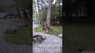 Our First Time Camping  Beaver Creek Campground West Virginia [upl. by Frank]