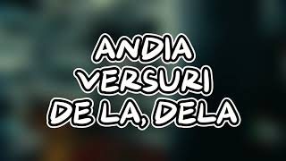 Andia  De la Dela VERSURI  Lyrics Video [upl. by Leatri]