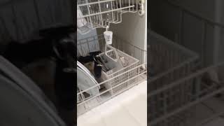 How to fix Dishwasher GE Dishwasher [upl. by Yneffit]