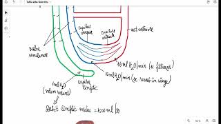 Circulatia limfatica [upl. by Enieledam]