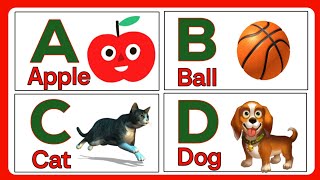 A to Z Alphabets  A to Z Alphabets with Pictures  A for Apple B for Ball C for Cat [upl. by Nolrah]