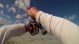 Bonefishing Acklins Bahamas on Fly March 2017 [upl. by Notyarb]