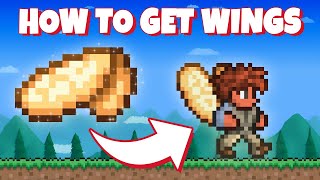 How to farm Wings in Terraria [upl. by Hanas299]