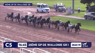 Grand Prix De Wallonie Gr1 2024  Go On Boy amp Romain Derieux 1145 2850m [upl. by Loutitia]