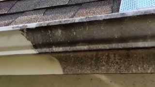 See before and after stains removed from the gutters [upl. by Grantland]