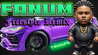 Fanum Freestyle Remix [upl. by Leuams]