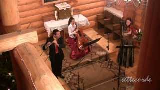 P Tchaikovsky Waltz from Sleeping Beauty viola cello and flute Trio Animando [upl. by Ettelra311]