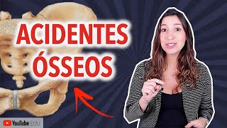 Acidentes Ósseos Sistema Esquelético  Anatomia etc [upl. by Liza300]