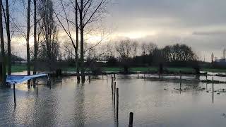 Parcours Hexia Cyclocross Gullegem onder water gelopen [upl. by Akinirt]