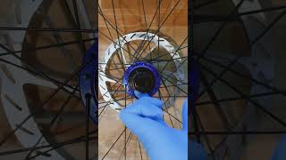 Mountain Bike BRAKE ROTORS amp CASSETTE INSTALL [upl. by Akinak419]