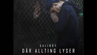 Saliboy  Njuter Där allting lyser [upl. by Tiffy626]