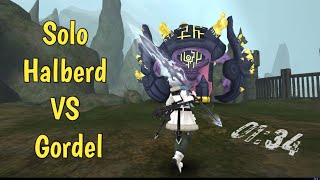 Solo Halberd VS Gordel Ultimate 0134s  Toram Online [upl. by Elimay]