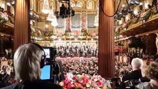 Vienna Philharmonic New Years Concert 2015 [upl. by Urba]