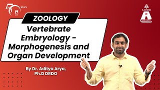 Vertebrate Embryology  Morphogenesis and Organ Development  Zoology  S Chand Academy [upl. by Yeslaehc]