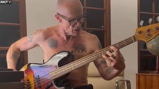 Flea Playing Jaco Pastorius Incredible [upl. by Conny]