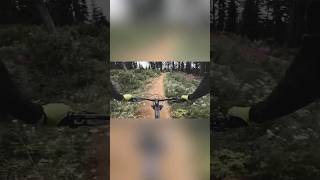 Best mtb bike park flow trail I’ve done revelstoke intensebikes [upl. by Dennis]