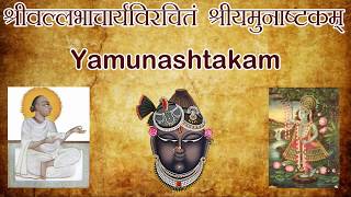 Yamunashtakam  Yamunashtak Stotra  Shree Yamuna Stuti  श्री यमुना स्तुति  NakshatraPedia [upl. by Eanahc940]