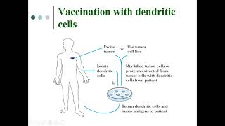 Immunology Lecture Series 58 Immune therapy of Cancer Part 1 [upl. by Oikim]