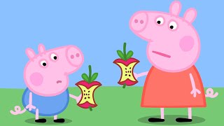 Tekenfilms voor Kinderen  Peppa Pig Nederlands  Hele Aflevering 3x07 [upl. by Edith]