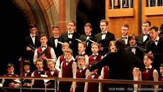 Knabenchor capella vocalis  quotGeistliches Liedquot Johannes Brahms St Wolfgang Reutlingen 20012018 [upl. by Ynaffet532]