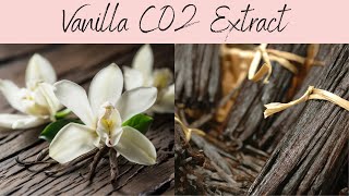 Vanilla CO2 Extract INCI Vanilla Plantifolia Anti Acne Rich Vanilla Aroma [upl. by Naujed]