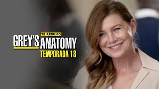 GREYS ANATOMY TEMPORADA 18  RESUMEN en 8 minutos [upl. by Naved]