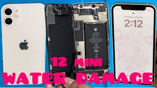 How To Fix Your Water Damaged iPhone 12 Mini [upl. by Hardigg]