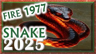 ✪ Snake Horoscope 2025  Fire Snake 1977  February 18 1977 to February 6 1978 [upl. by Miguel608]