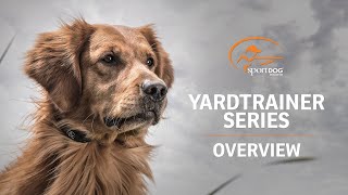 SportDOG Brand® YardTrainer ECollars [upl. by Farrish478]