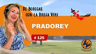 DE BODEGAS CON LA BRUJA VIR 05112024 [upl. by Sudoeht966]