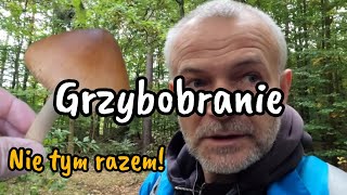 MÓJ PIERWSZY I CHYBA OSTATNI RAZ NA GRZYBACH zielonyzakątek [upl. by Dubois250]