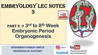 Embryology Lec Notes 3  3rd WEEK TRILAMINAR GERM DISC  3rd to 8th Week  Embryonic Period [upl. by Swarts191]