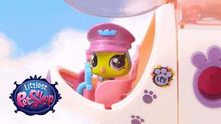 Littlest Pet Shop Toys  Pet Jet [upl. by Mercola824]