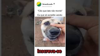 DESAFIO DO CACHORRO🤣 humor meme shorts pets [upl. by Notsreik]