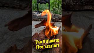 The BEST Camping Fire Starter is FREE so stop wasting money [upl. by Aisek]