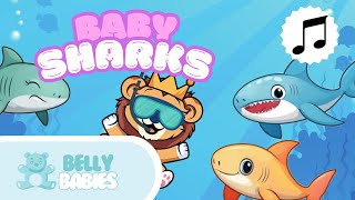 Babysharks  Bellybabies  Nursery Rhymes amp Kids Songs  Learn English [upl. by Grae134]