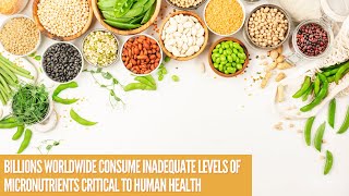 Billions worldwide consume inadequate levels of micronutrients critical to human health [upl. by Bonaparte979]