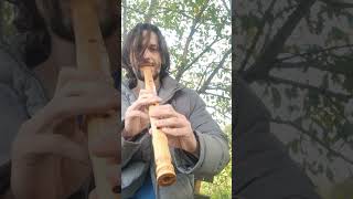 Shakuhachi 18 D key ashwood for sale shakuhachi zenflute flute fluteforsale harmonyflute [upl. by Lesoj]