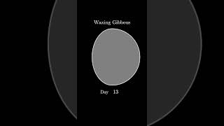 Phases of the Moon  New Half and Full Moon Waxing and Waning Crescent Waxing and Waning Gibbous [upl. by Stanislaw]